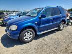 2001 Merz Ml-class