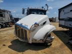 2013 Peterbilt 386 Semi Truck
