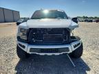 2017 Ford F150 Raptor