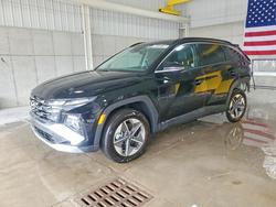 Salvage cars for sale from Copart Walton, KY: 2025 Hyundai Tucson sel