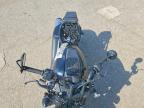 2023 Harley-Davidson RH1250 S