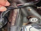 2010 Harley-Davidson Flstfb