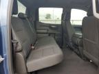 2024 Chevrolet Silverado K1500 Trail Boss Custom