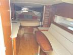 2010 Sea Ray Boat