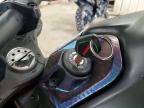 2024 Ducati Monster