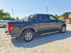 2025 Ford F150 XLT