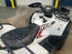 2025 TGB Blade 600 SLX