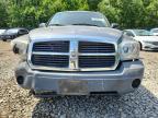 2005 Dodge Dakota Quattro
