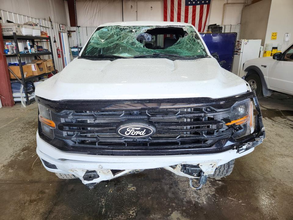 2025 Ford F150 XLT