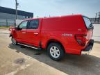 2025 Ford F150 XLT