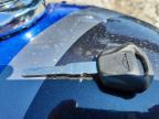 2025 Triumph Speed 400