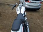 2026 Harley-Davidson FXD