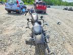 2021 Harley-Davidson XL883 N