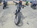 2005 Harley-Davidson XL883 L
