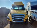 2020 Freightliner Cascadia 126 Semi Truck
