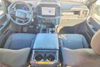 2025 Ford F150 STX