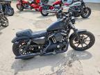 2020 Harley-Davidson XL883 N