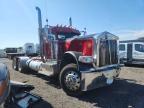 2019 Peterbilt 389 Semi Truck