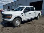 2024 Ford F150 XL