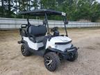 2025 Denago Nomad XL Golf Cart