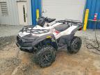 2025 TGB Blade 600 SLX