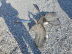 2013 Toyota Tacoma Double Cab
