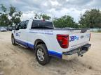 2025 Ford F150 XLT