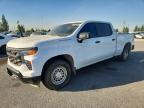 2023 Chevrolet Silverado C1500