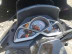 2025 Genuine Scooter Co. Scooter