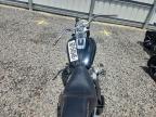2019 Harley-Davidson Flsb