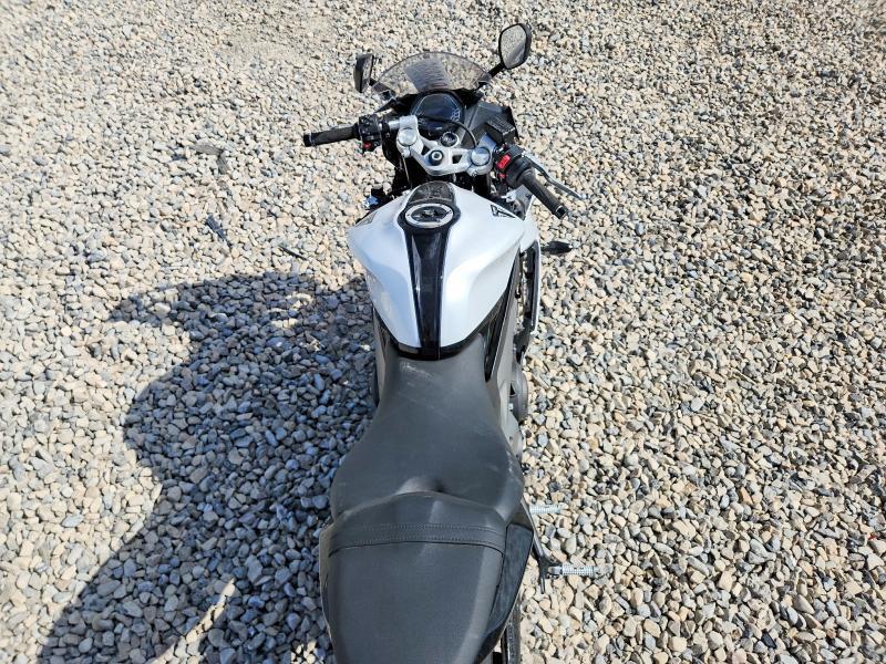 2025 Triumph Daytona 660