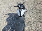 2025 Triumph Daytona 660