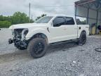 2026 Ford F150 Platinum