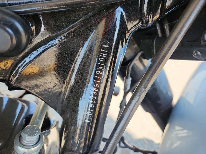 2024 Harley-Davidson Flhx