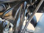 2024 Harley-Davidson Flhx