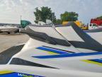 2019 YAM VX