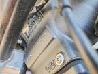2025 Kawasaki ZX636 K