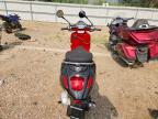 2023 Vespa PRIMAVERA/SPRINT 150