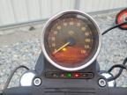 2019 Harley-Davidson XL883 N