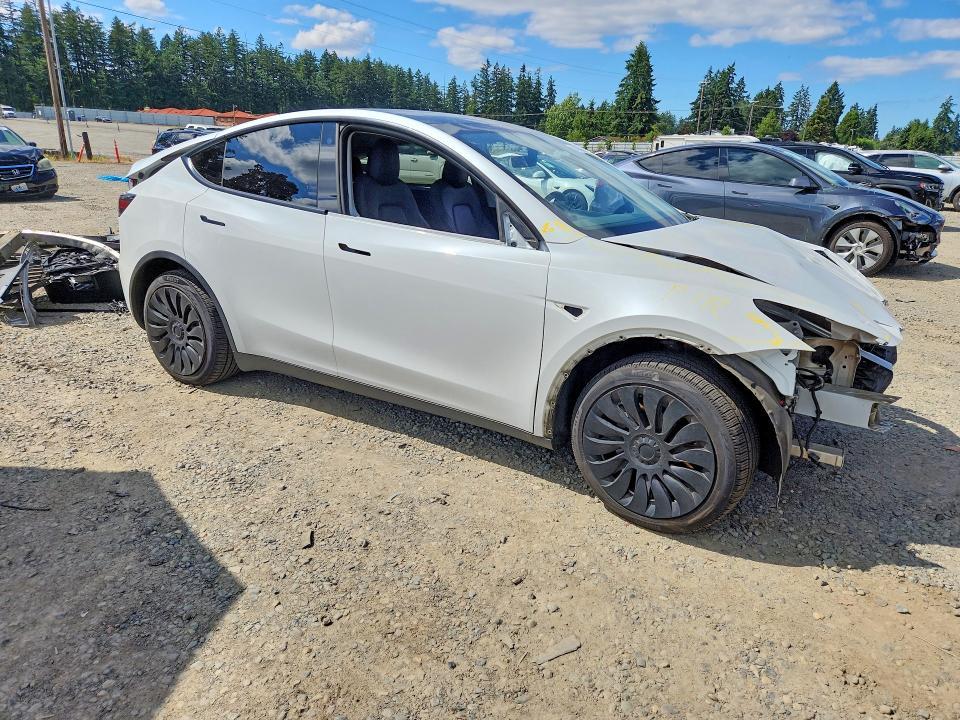 2021 Tesla Model  y