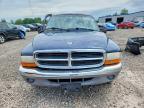 2000 Dodge Dakota Quattro