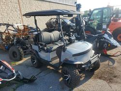 Vehiculos salvage en venta de Copart Woodhaven, MI: 2025 Denali GO EV Golf Cart