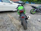 2025 Kawasaki EX500 H