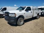 2019 Dodge RAM 2500 Tradesman