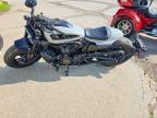 2024 Harley-Davidson RH1250 S