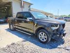 2024 Ford F150 XLT