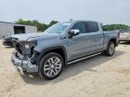 2025 GMC Sierra K1500 Denali