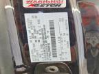 2025 Ford F150 STX