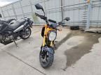 2024 Honda Grom 125