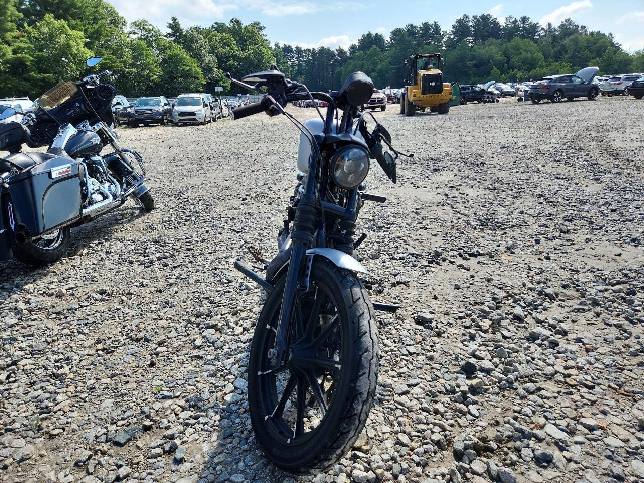 2020 Harley-Davidson XL883 N